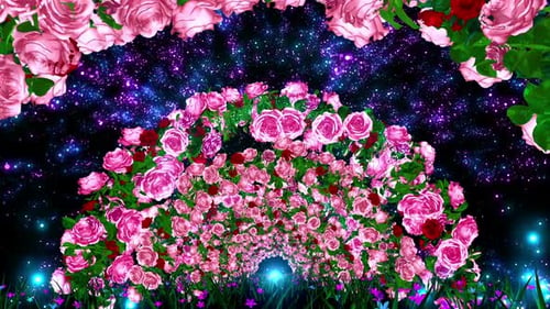 Rose Flower Arc
