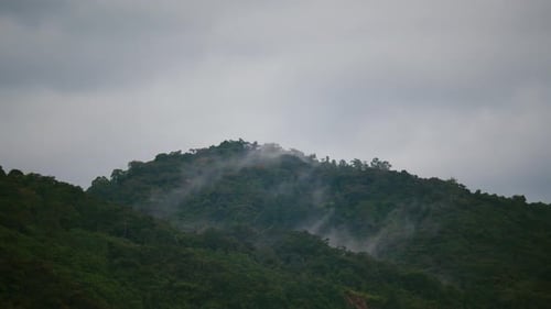 Cloud floating over a and mountain. Misty fog blowing over tree forest. Raining in forest, smoke, fo