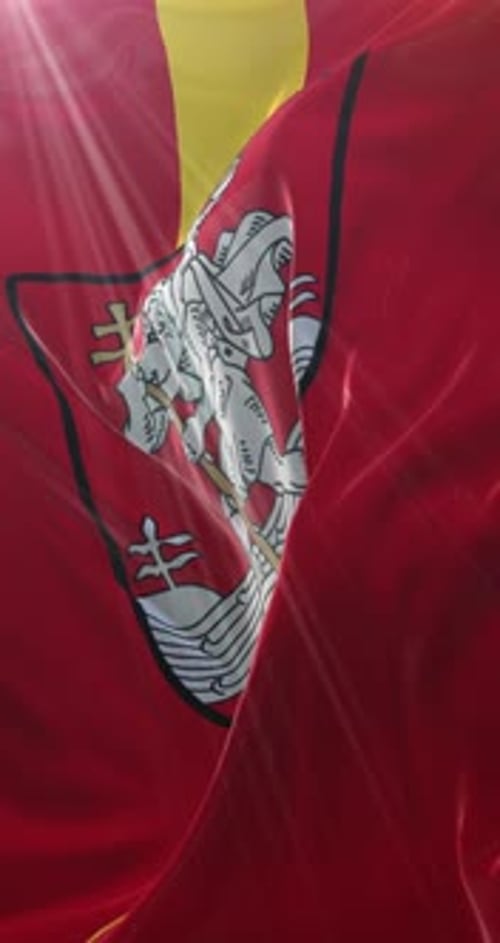 Realistic Vertical Waving Flag with Coat of Arms