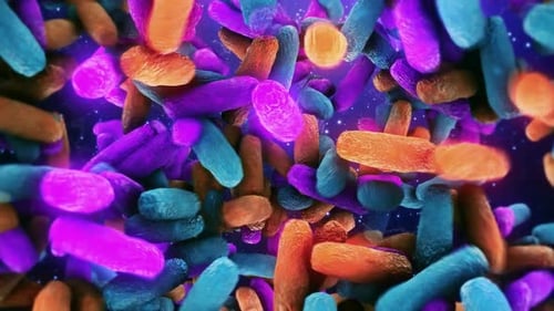 Colorful Microscopic Organisms Loop for Medical Science