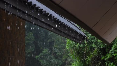 Rain Falling From Roof with Lush Green Background Wet Weather Scene
