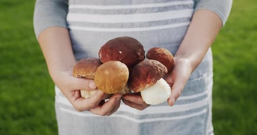 Woman Holding Freshly Picked Porcini Mushrooms