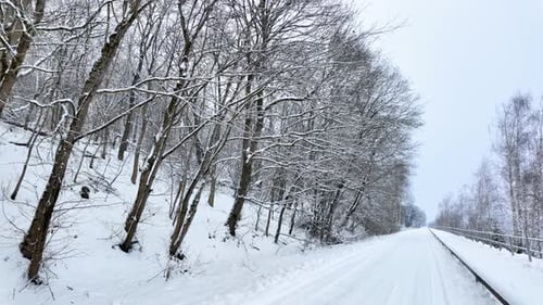 Peaceful Snowy Forest Path in Serene Winter Landscape