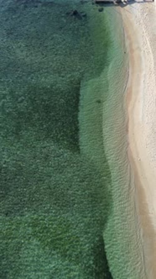 Aerial View of Beautiful Tropical Beach with Turquoise Water and Sand
