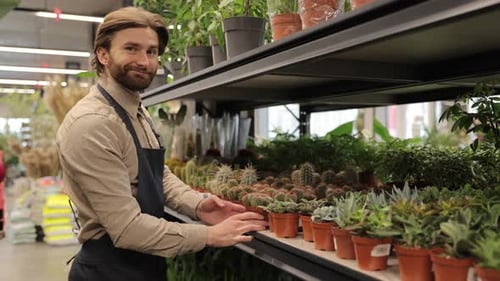 Florist Arranging Potted Plants on Shelf