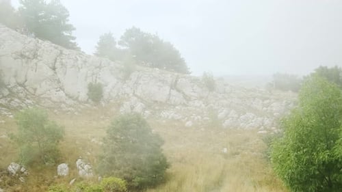 Berglandschaft. Steinfelsen auf einem Berg im Nebel mit Nadelbäumen