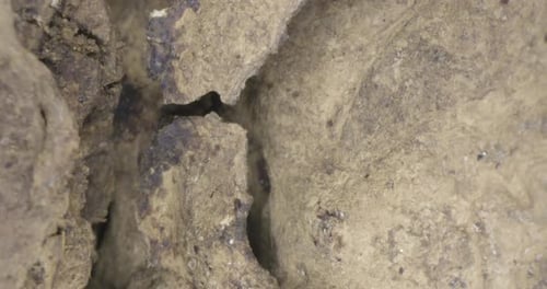 À l'intérieur du toboggan Termites Nest