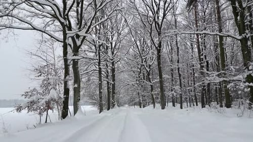 Smooth Flight Over a Snowcovered Road in a Winter Forest