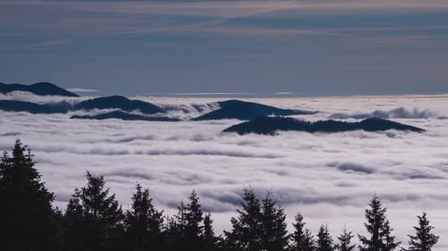 Neblige Wolken bewegen sich schnell in der Natur des Waldes Mountain Valley