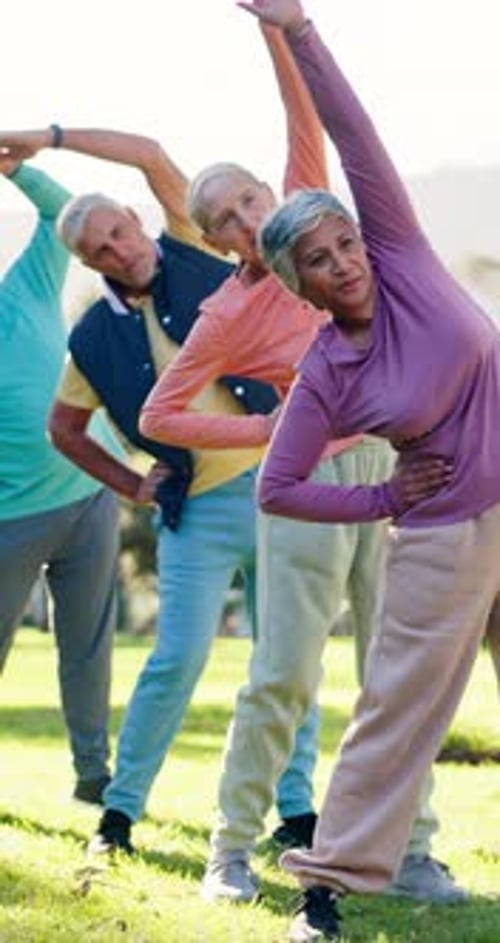 Seniors and Adults Stretch in a Sunny Park