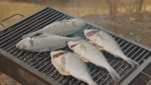 Sea Bream Fried On Grill With Seasoning