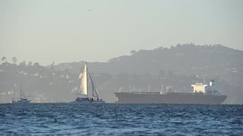 The View of San Francisco Bay Ca. July 2021