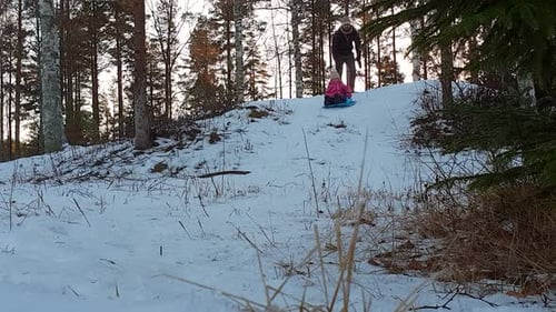 pai e filha curtindo uma colina de trenó na natureza nevada