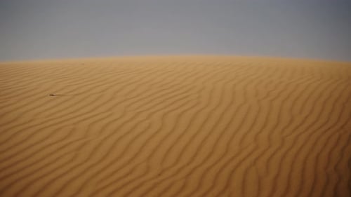 Sand Dune Details In The Sahara Desert Near Merzouga, Morocco. Aerial Wide Shot