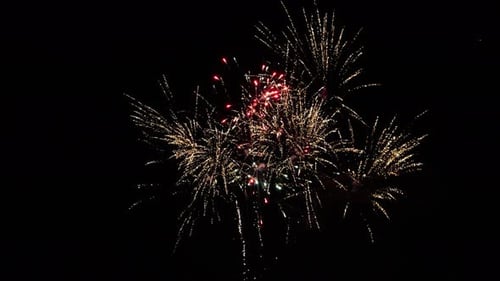 Exploding Fireworks Display in the Night Sky