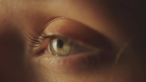 Close-up of brown female eye wrinkles