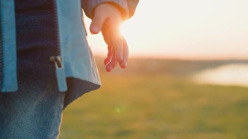 Child's Hand in Field at Warm Sunrise