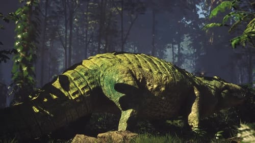Crocodile se reposant dans une forêt luxuriante à la lumière matinale