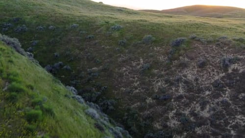 Planície de Carrizo, uma grande planície de pastagem fechada. San Luis Obispo, Califórnia
.
