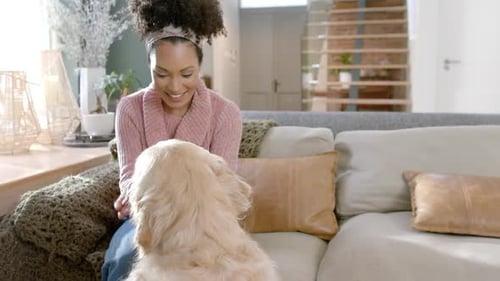 Woman Petting Dog Comfortably on Couch at Home