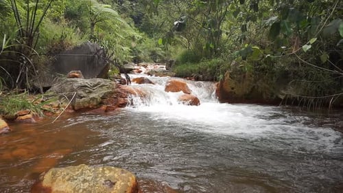 klares Flusswasser fließt in den Bergen und grüne Bäume mit orangefarbenen Felsen