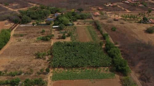 Despite planted on desert land certified organic products grown in Brazil