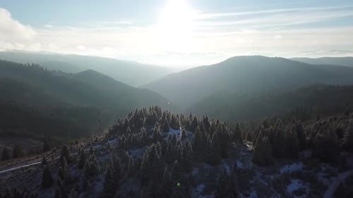 Above the forest in the mountains