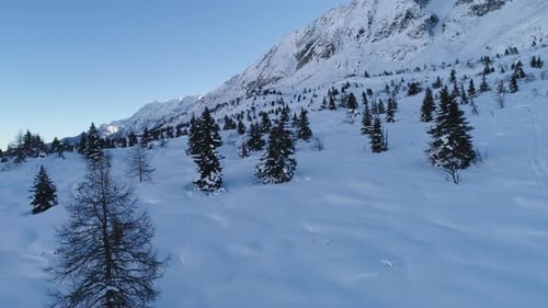 Picturesque view snowy landscape valley with pine trees extending in the distance. View of the snow