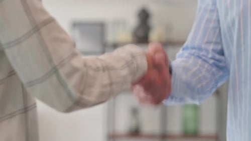 Business Professionals Shake Hands in Agreement