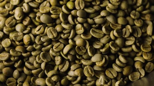 Close up detailed shot of unroasted coffee beans