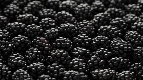 Fresh blackberries close up shot, dark background