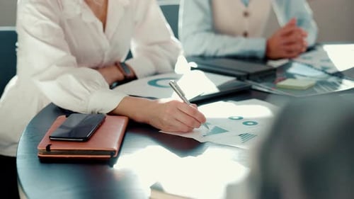 Business Colleagues Collaborating on Charts in Bright Office
