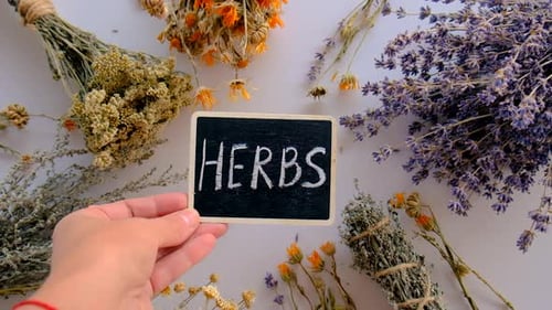 Dried Medicinal Herbs and Flowers Selective Focus