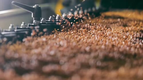 Eine Nahaufnahme von Weizenkörnern, die mit landwirtschaftlichen Maschinen verarbeitet werden. Die Körner sind drin