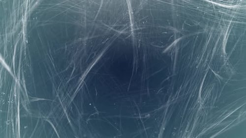 Spider Web Background