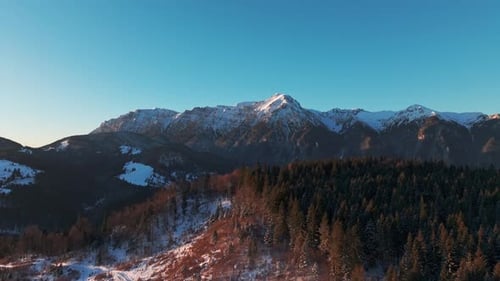 Snow-covered mountains in winter, aerial view over lush forests and alpine ridges