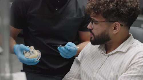 Dentist Explaining Procedure to Patient with Model Teeth