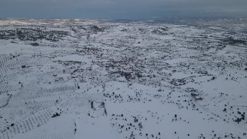 Snowy Landscape