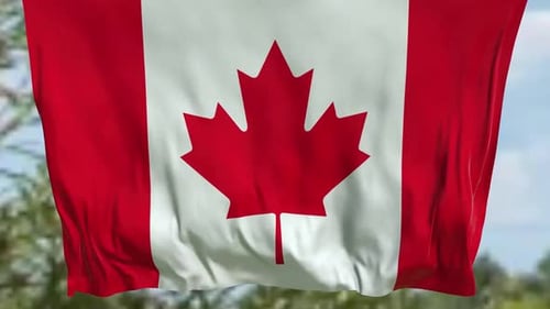 Realistic Canadian Flag Waving in the Wind