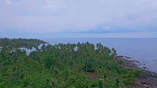 Aerial view of golden sunset over coastal palm forest, Koh Kood, Thailand