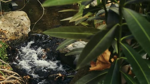 Himmlischer Wasserfall im Bachblick in grüner Natur 28