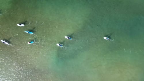 SUP surfers paddling along a Mediterranean coast