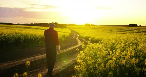 Dorfbewohner wandern in der Natur Einfaches Landleben Bauer spaziert auf malerischen landwirtschaftlichen Feldern