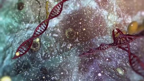 3D Microscopic Animation of DNA and Cellular Structures
