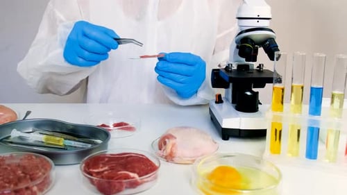 Lab Technician Examining Meat Under a Microscope