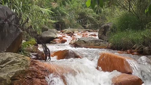 clear river water flowing in the mountains and green trees with a stretch of orange rocks