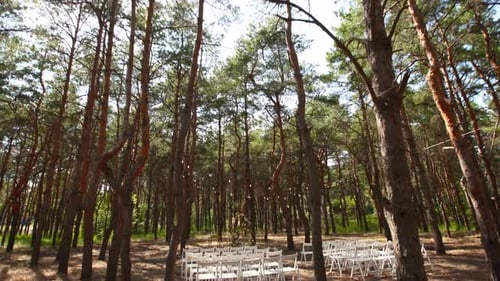 Beautiful Bohemian Tipi Arch Decoration on Outdoor Wedding Ceremony Venue in Pine Forest with Cones