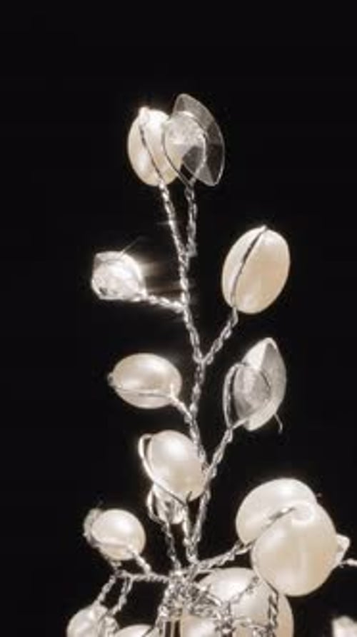 Luxury Hairpin Shaped As Twig with Shiny Gemstones in Studio