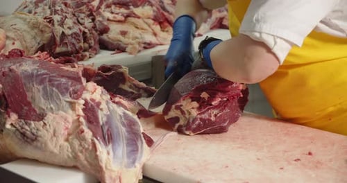 Workers Separate the Meat From the Bones for Further Processing Sausage Factory
