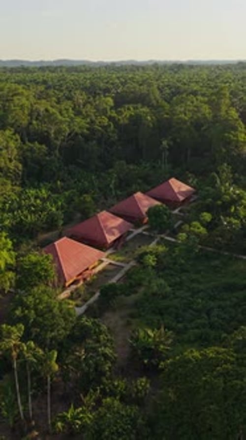 Aerial View of Jungle Buildings with Red Roofs